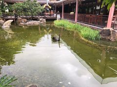 -西双版纳洲际度假酒店-海鲜傣味烧烤·侬香全日制餐厅