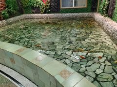 -泉城欧乐堡戏水湾艺术养生温泉