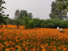 -济南植物园