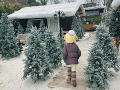 -HERRE·FARM 赫尔露营农场·团建聚会包场