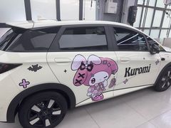 -龙膜全球臻选店·汽车贴膜·隐形车衣(北京琪朗店)