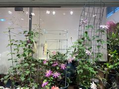 -双季花艺园艺市场(浦东店)