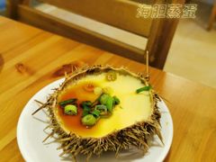 -海胆小馆(东北水饺·春柳店)