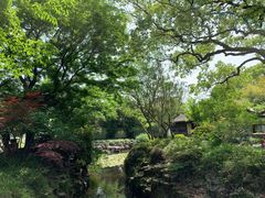 -上海醉白池公园