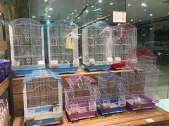 -龟与熊猫宠物公园(南坪店)