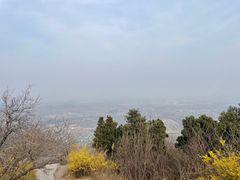 -北京西山国家森林公园