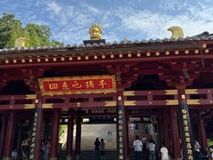 -庐山风景名胜区-东林大佛