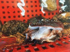 -南蚝小贝海鲜特色餐厅(南澳岛店)