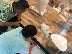 -袖虎·猫馆(体育西路店)