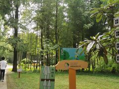 -同里国家湿地公园