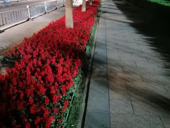 -东北大学(南湖校区)