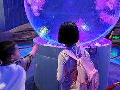 -石家庄极地海洋世界