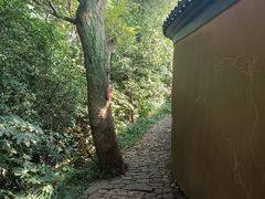 -狼山风景名胜区