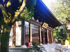 -西湖风景区十里琅珰-五云山