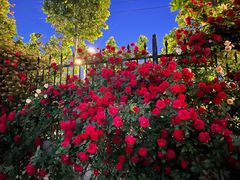 -商丘古城-应天书院