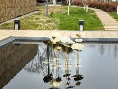 -大报恩寺遗址景区