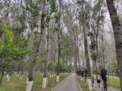 -东郊湿地公园