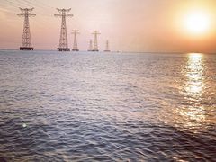 -宝安西湾红树林湿地公园