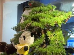 -蓉城小馆(科兴店)