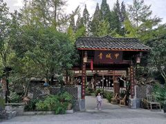 -青城甲(青城山店)