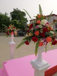 -雅奇婚庆(永乐园社区店)