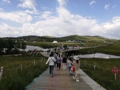 -御道口草原森林风景区