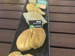 -榴莲BB 四季果园