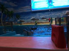 -福州罗源湾海洋世界旅游区