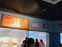 -海合安武汉极地海洋公园