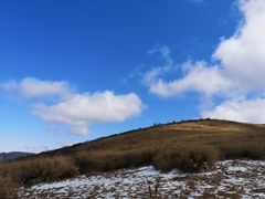 -秦岭风景区