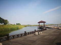 -太湖湖滨国家湿地公园-停车场