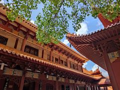 -深圳仙湖植物园