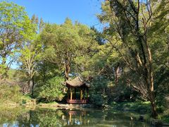 -杭州植物园