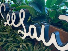 -Seesaw Coffee(朝阳大悦城店)