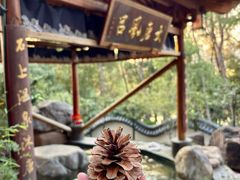 -唐风温泉