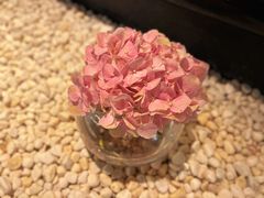 -广州花园酒店