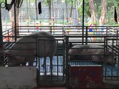-是拉差龙虎园(Permanently closed)