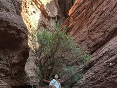 -天山神秘大峡谷