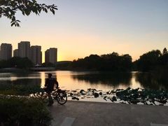 -新江湾城公园