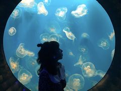 -成都浩海立方海洋公园