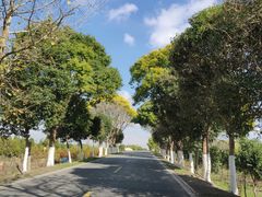 -上海崇明金茂凯悦酒店