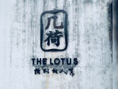 -几荷·恰似故人来(秀水广场店)