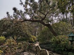 -秋霞圃