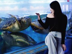 -烟台海昌鲸鲨海洋公园