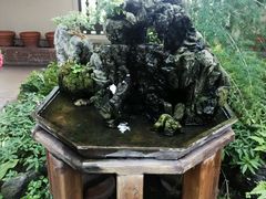 -圣地亚哥动物园