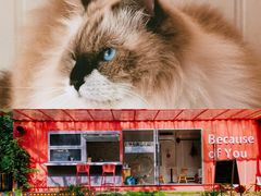 -灯塔咖啡馆BOOK·Coffee Shop