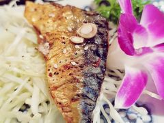 照烧日本青花鱼-渔井食堂(新洲店)