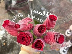 -桂林市花鸟市场