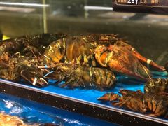 水产区-神洲四海大酒楼(王府井澳门中心店)