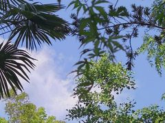 -和平公园